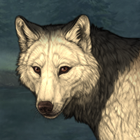 Wolf Headshot