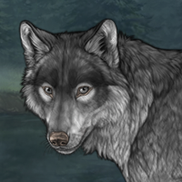 Wolf Headshot