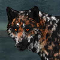 Maxine G2 Headshot