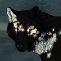 Patches: Mottled 2 Headshot