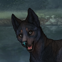 Blueschist Headshot