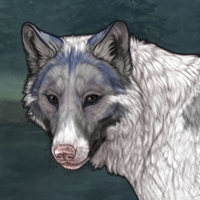 {*} Callum Headshot