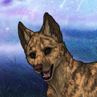 Enclave Pup Headshot