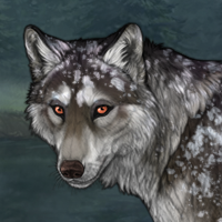 Umbra Headshot