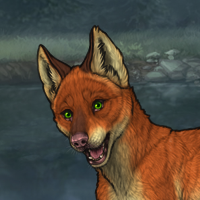 Fox - Giveaway Headshot