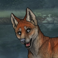 9th Gen. - Foxpup Headshot