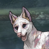 Piebald Headshot