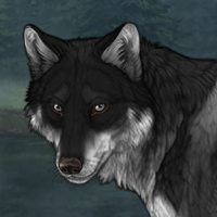 Wolf Headshot