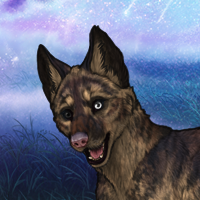 Enclave Pup Headshot