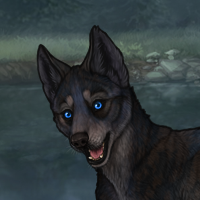 Blueschist Headshot