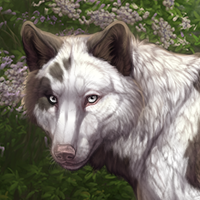 Etsuko Headshot