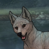 Emer Headshot