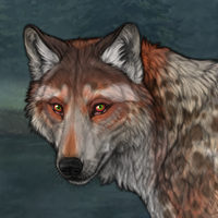 G4 DB Catshark holly Headshot
