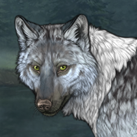 Wolf Headshot