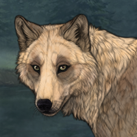 wg merle Headshot