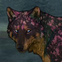 Wolf Headshot