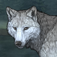 Wolf Headshot