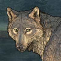 Wolf Headshot