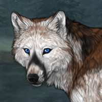 Wolf Headshot