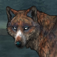 Spottedpelt Headshot