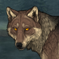 Wolf Headshot