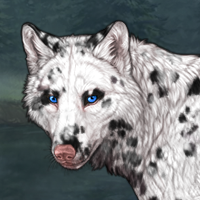 Piebald: Dalmatian | Fem Headshot