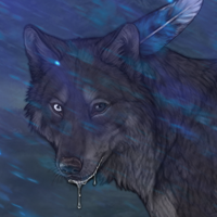 Kelpie Headshot