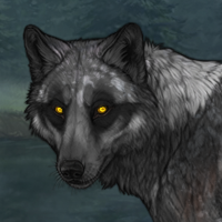 Gray Headshot