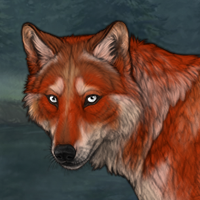 Foxfire Headshot