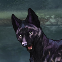 Omg handsome umbra Headshot