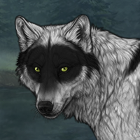 Wolf Headshot