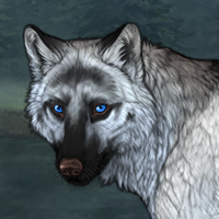 Wolf Headshot