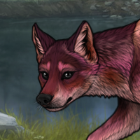 Anteia Pup 2 (sex change) Headshot