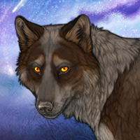Wolfhound Headshot