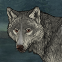 Wolf Headshot