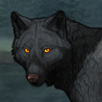 Wolf Headshot