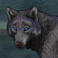 Moonpelt Headshot