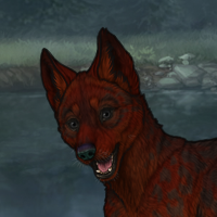 Bloodpup Headshot