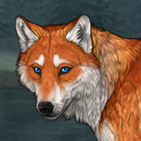 Wolf Headshot