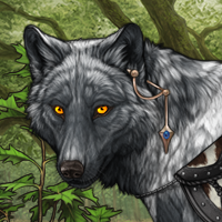 Wolf Headshot