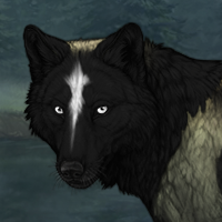 Wolf Headshot