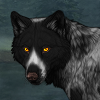 Wolf Headshot