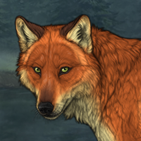 Foxfire Headshot