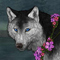 Wolf Headshot