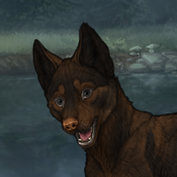 dinar's pup m1 Headshot