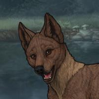 Fathom Pup (C) Headshot