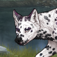 NIB G4 Dalmatian MEL Headshot