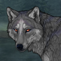 grey male, moonlight mark Headshot