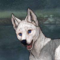 Argent Puppy Headshot