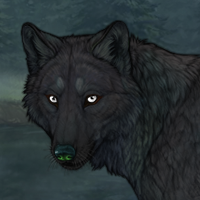 Bearfang Headshot